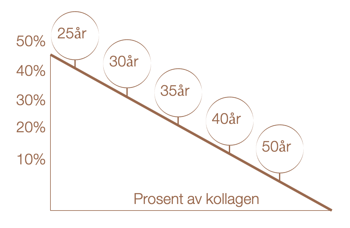 Kollagen_age