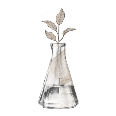 Free of Ethyl alcohol, Phthalates, Ethanolamines Hydroquinone, Kojic acid, Endocrine disruptors and Triclosan